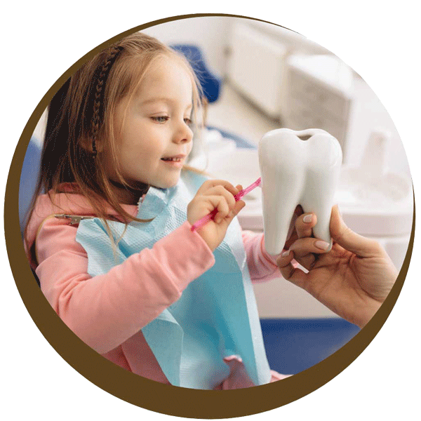 Young girl with red hair inspects a model tooth at Cedarwood Dentistry, where financing dental care in Midlothian, VA is easy.